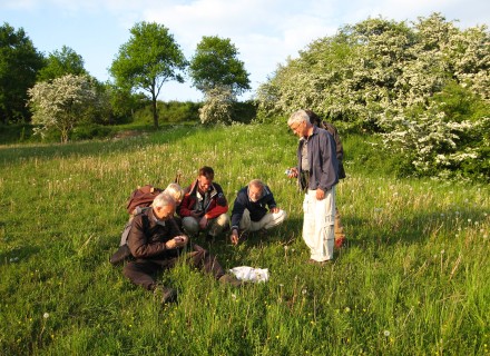 groepje mensen doen onderzoek in een veld