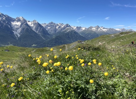 berglandschap