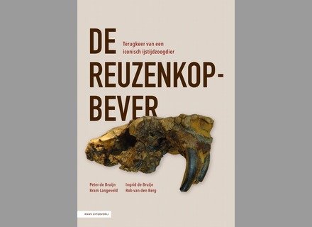 kaft boek