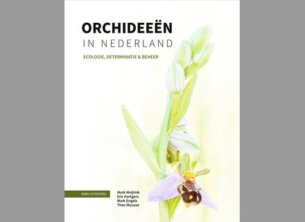 kaft boek