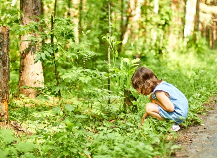 meisje onderzoekt plantjes in de berm