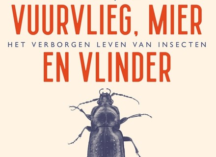 kaft boek
