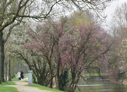 Stadspark Rotterdam