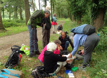 Deelnemers studieweek in actie
