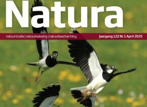 voorkant Natura