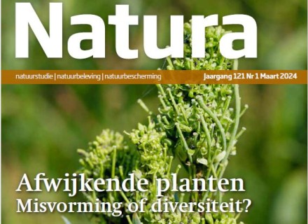 cover Natura
