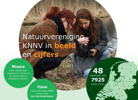 voorkant verkort jaarverslag
