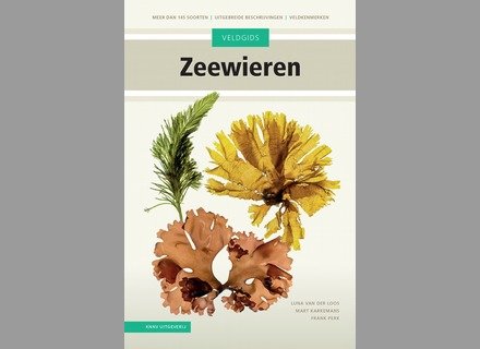 kaft boek