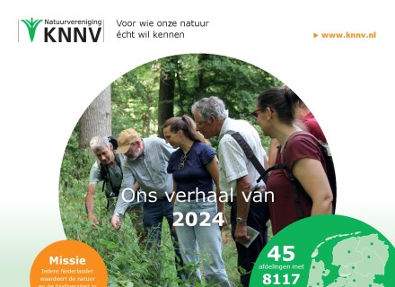 voorkant verkort jaarverslag