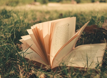 Boek in het gras