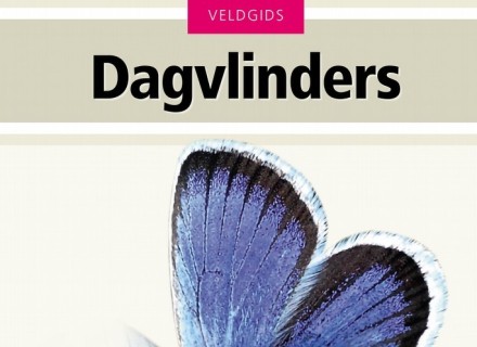kaft boek