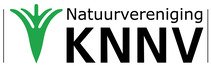 KNNV logo