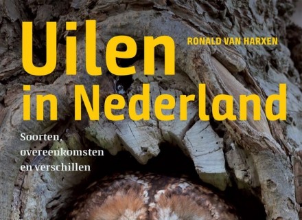 kaft boek