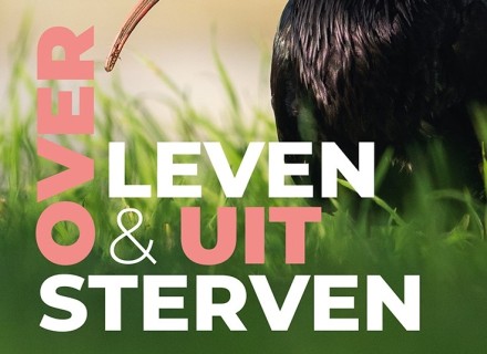 kaft boek