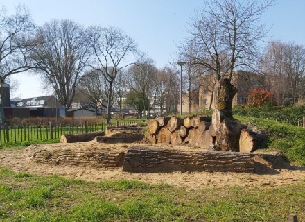 Bijenburcht Reyeroord