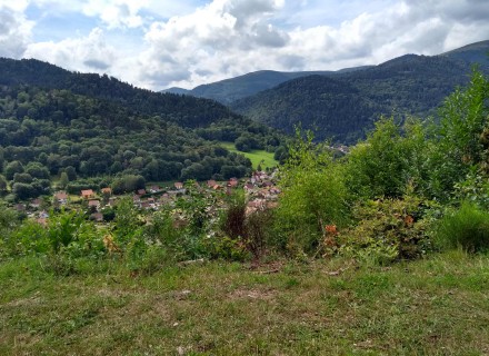 uitzicht op groen berglandschap