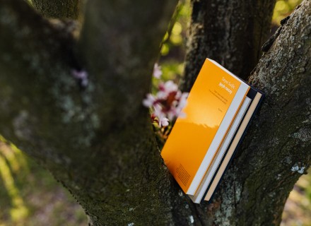 boeken in een boom