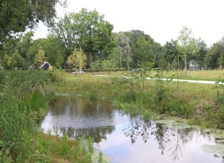 sloot in groene park omgeving