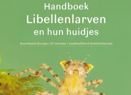 kaft boek